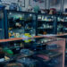 microloans democratize auctions